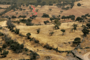 ©escrita na paisagem